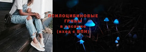 spice Володарск