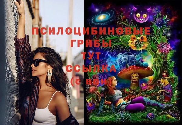 spice Володарск