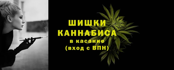 spice Володарск