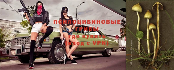 spice Володарск
