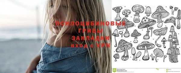 ГАЛЛЮЦИНОГЕННЫЕ ГРИБЫ Волоколамск